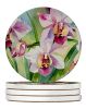Orchids in Watercolor Large Sandstone Coasters Pack of 4 Absorbent Round Coasters Decor Gifts for Men or Women, 4 in, Multicolor